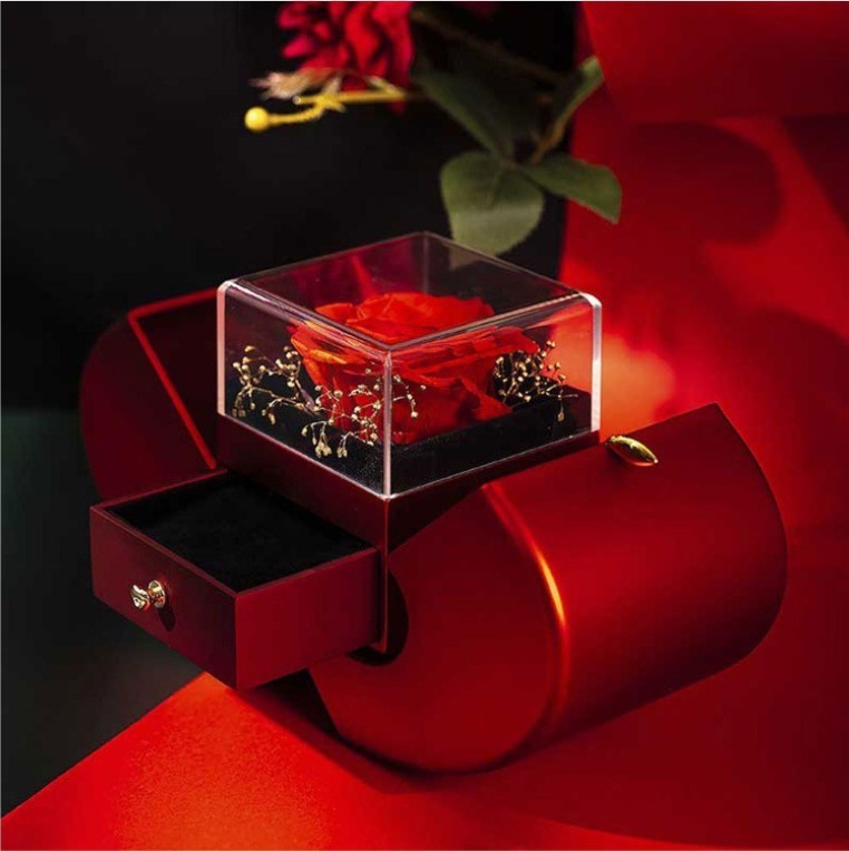 ZeitlosWir™ – Eternal Rose of Infinity
