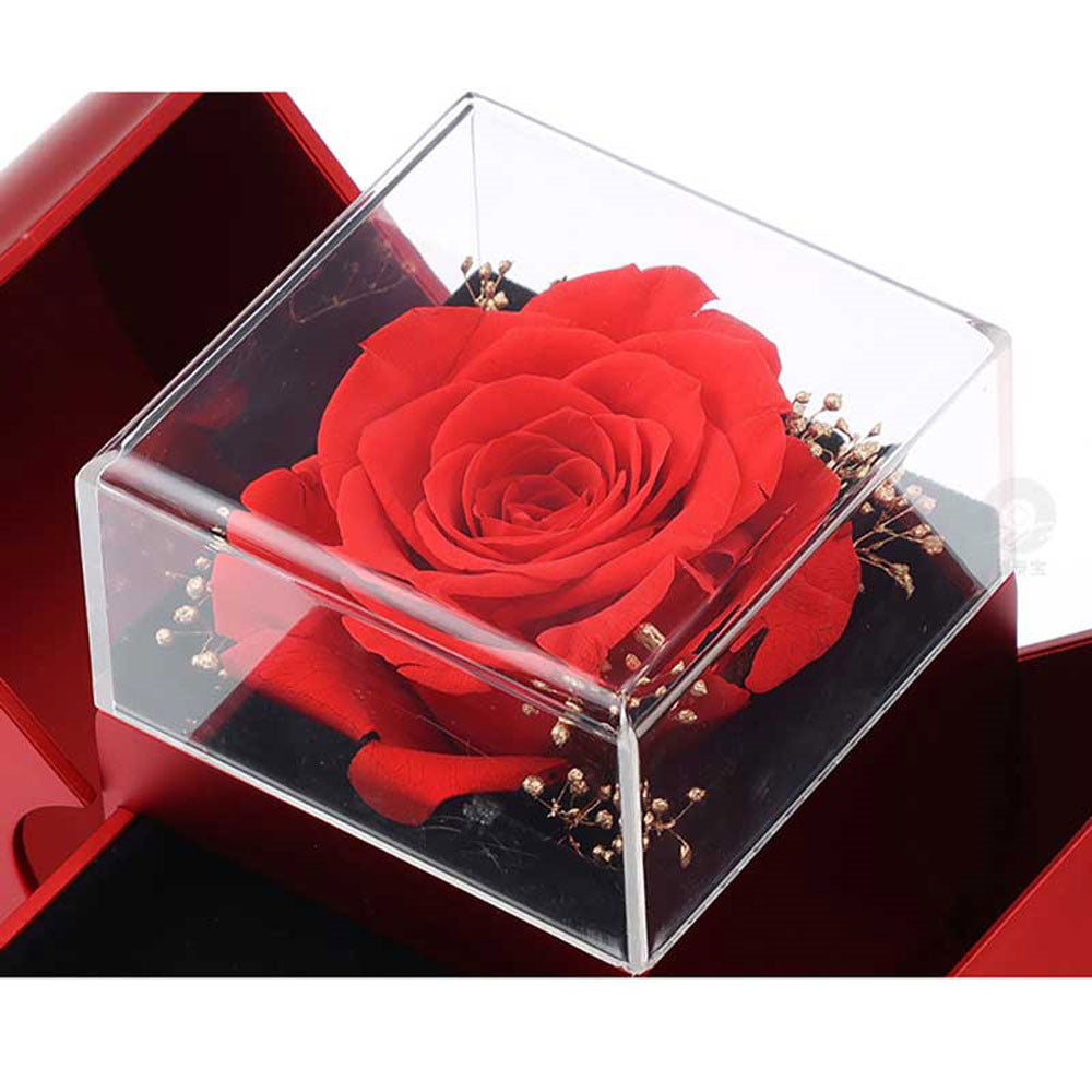 ZeitlosWir™ – Eternal Rose of Infinity